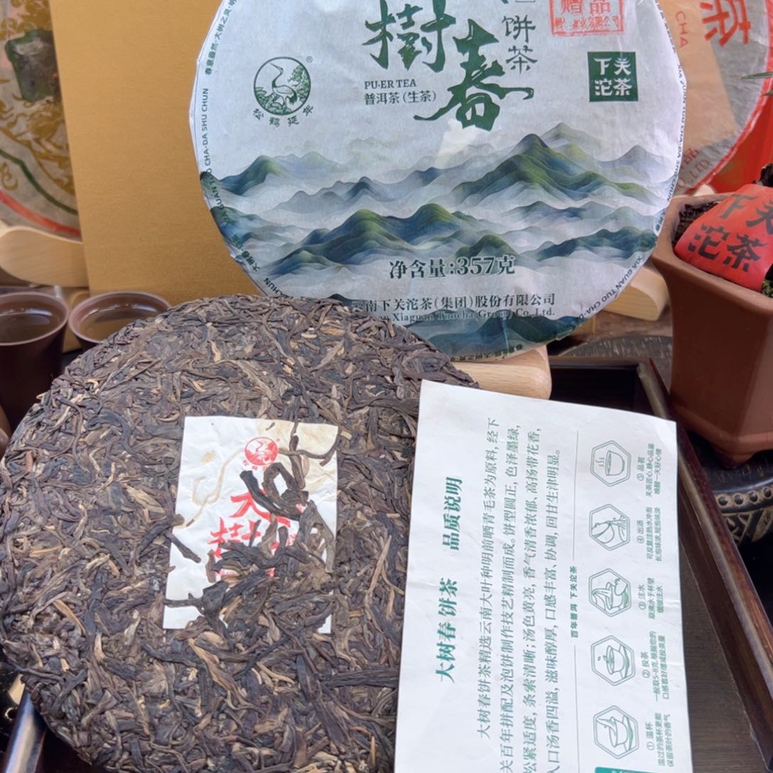 2024年下关大树春357克生茶