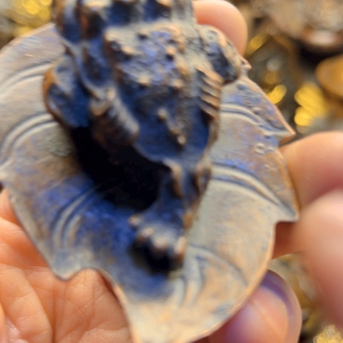 直播间专属链接所见即所得