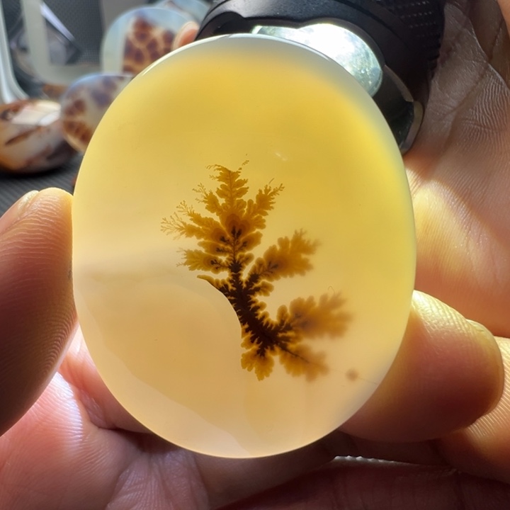 未镶嵌玛瑙/玉髓珠宝奇石