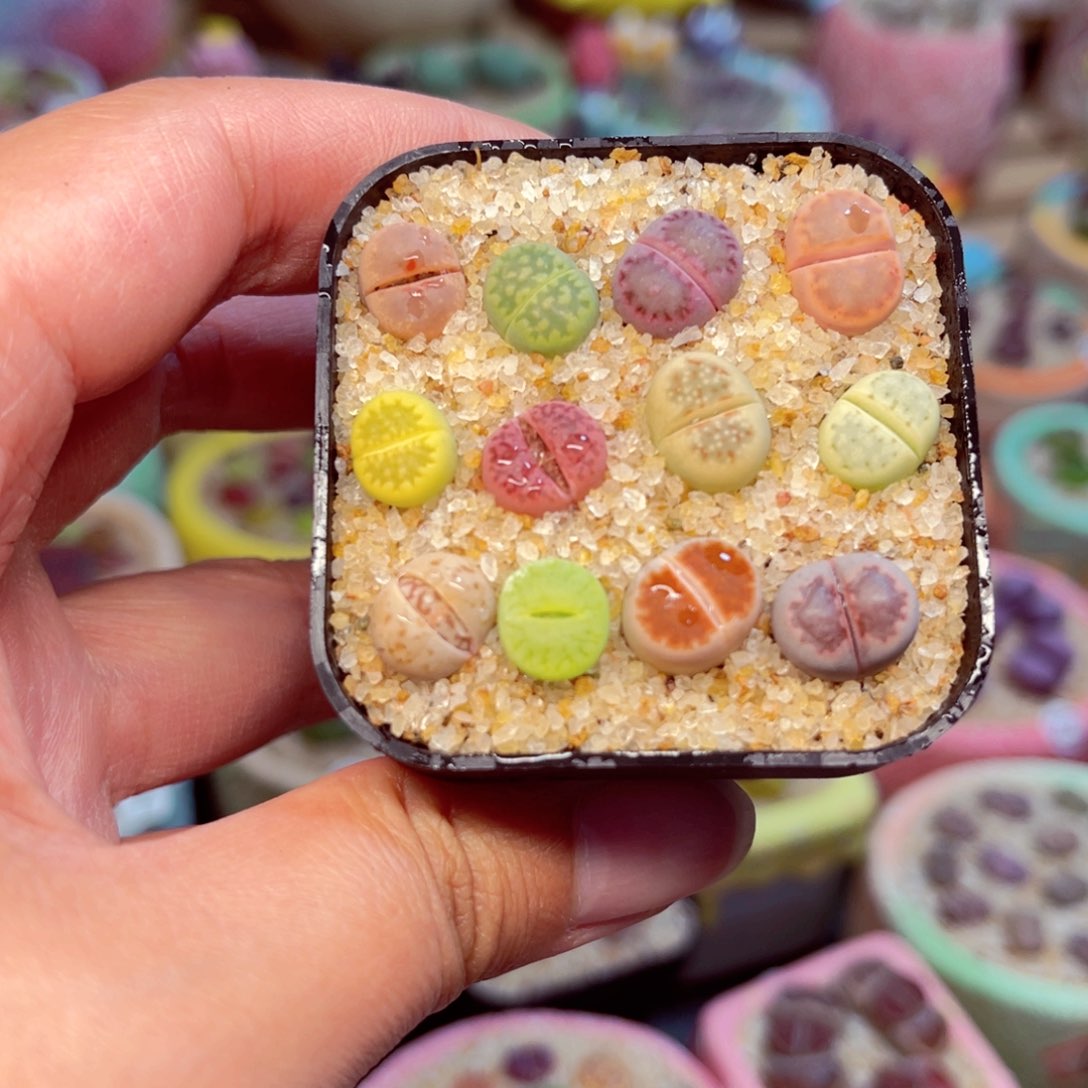 414。8888888855555555