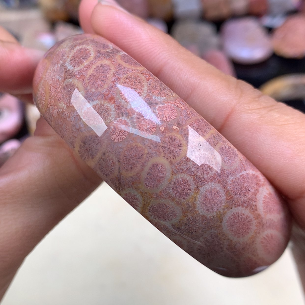 【闪购商品】颈饰未镶嵌硅化珊瑚（珊瑚玉）精美手镯57.8圈（8号）