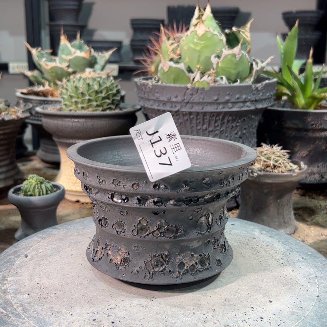 景德镇手工素里口13.7高10