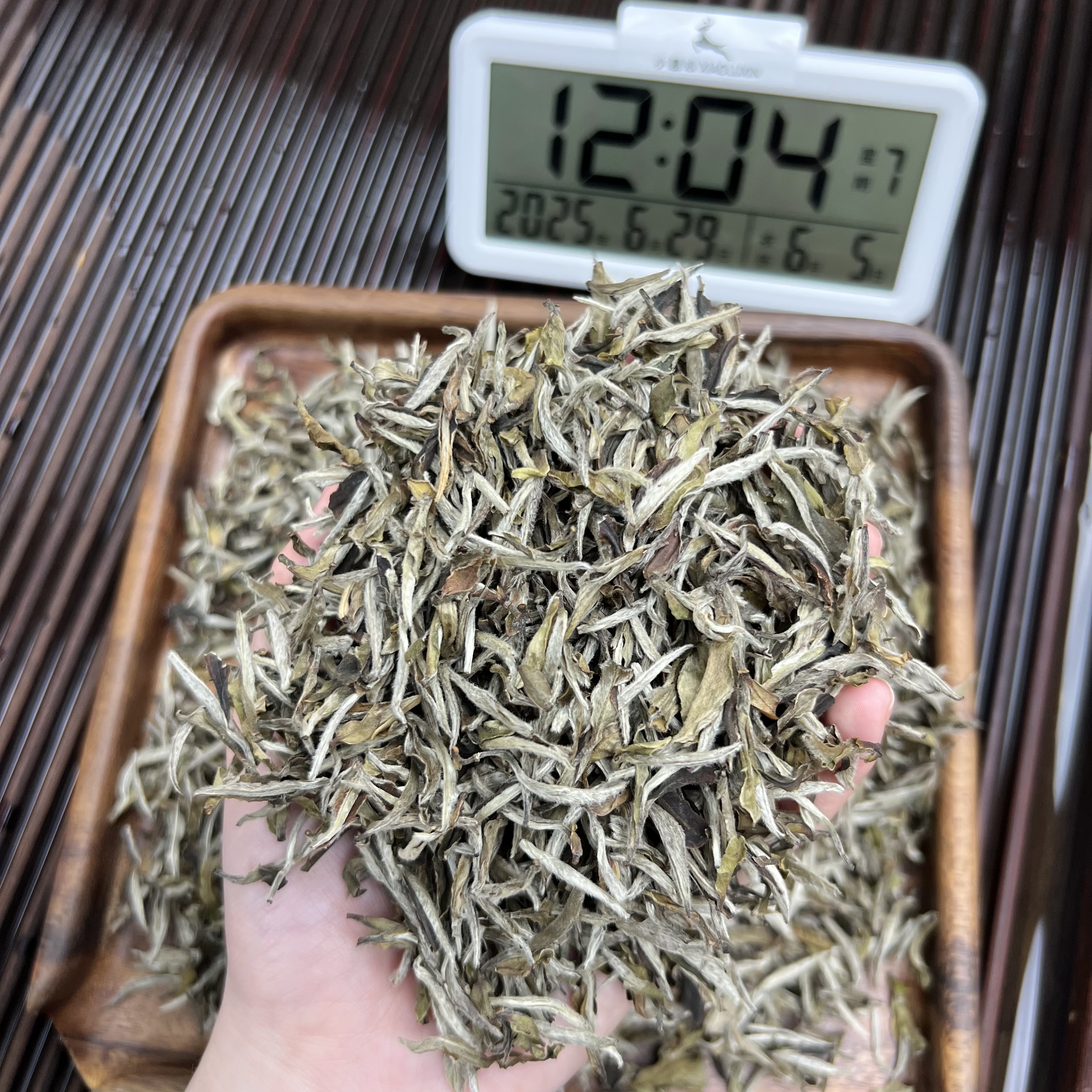 雪后白牡丹 ③  小鹿收茶 福鼎白茶  盒装茶叶 22 6月29
