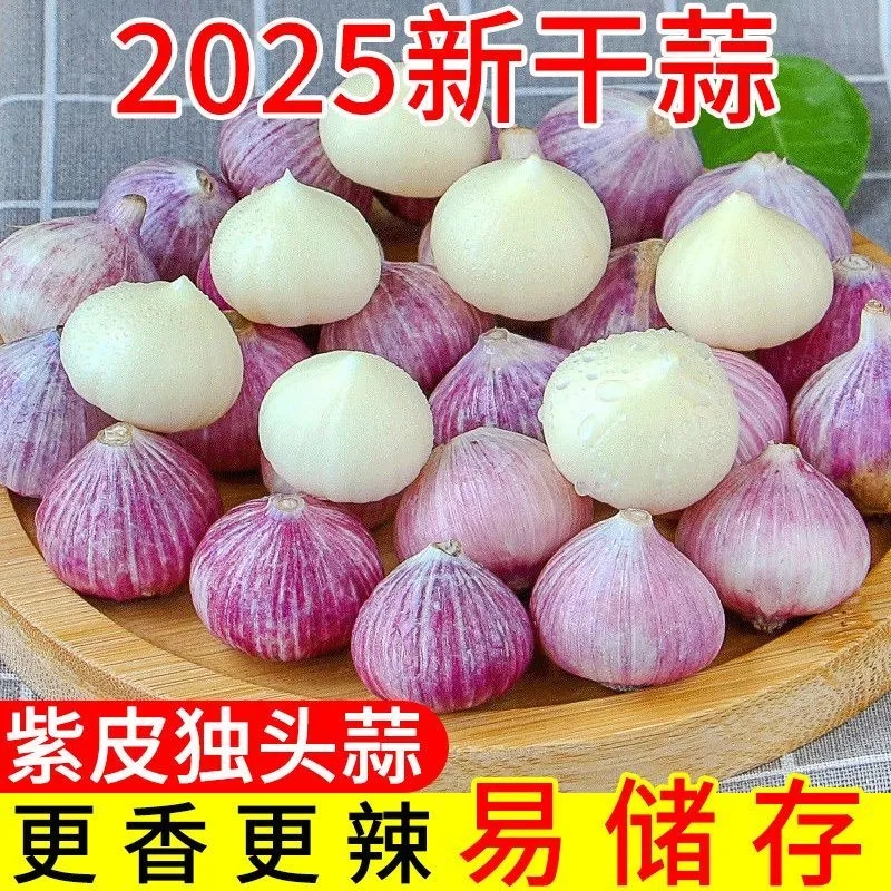 【产地直发】紫皮独头蒜新大蒜晾晒干蒜头批发红皮干独蒜圆头