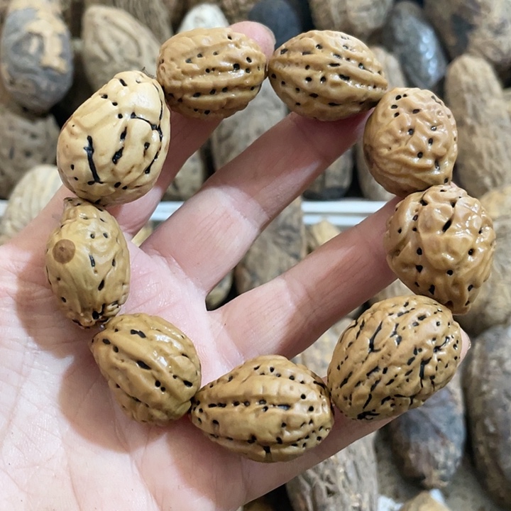谁***谁龙脊菩提吊坠千眼菩提刷果老果