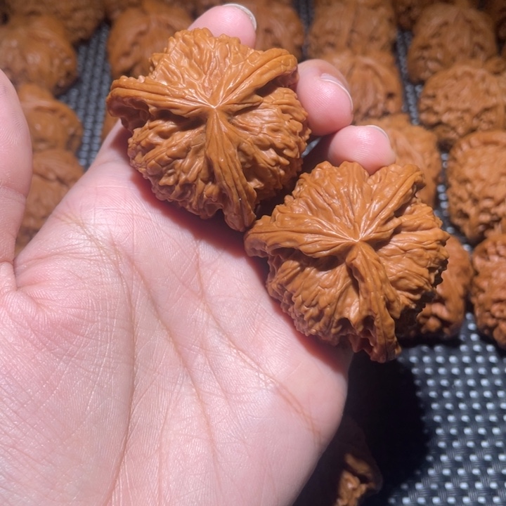 ****斯桃核吊坠小妹三棱