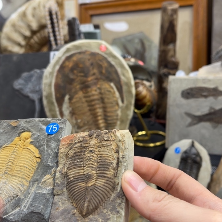 *****有机玻璃神奇又有趣