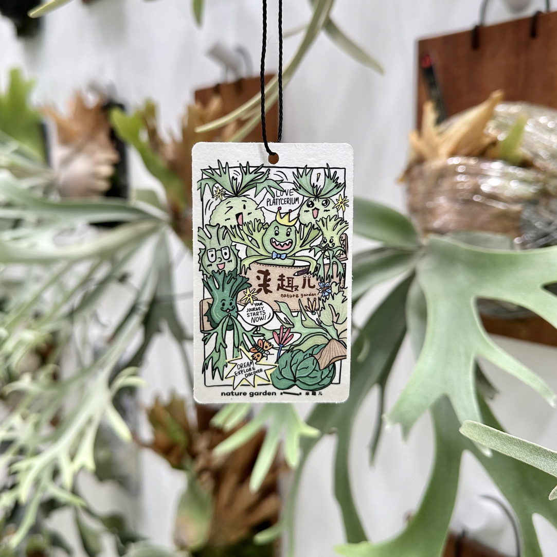 来趣儿nature garden 周边｜小香牌  2个包邮