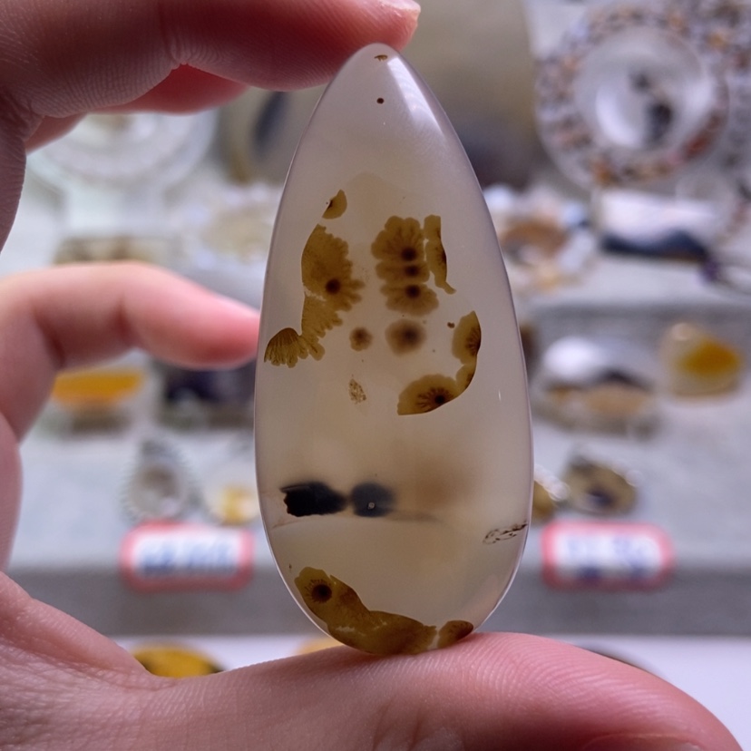 【闪购商品】玛瑙/玉髓颈饰未镶嵌