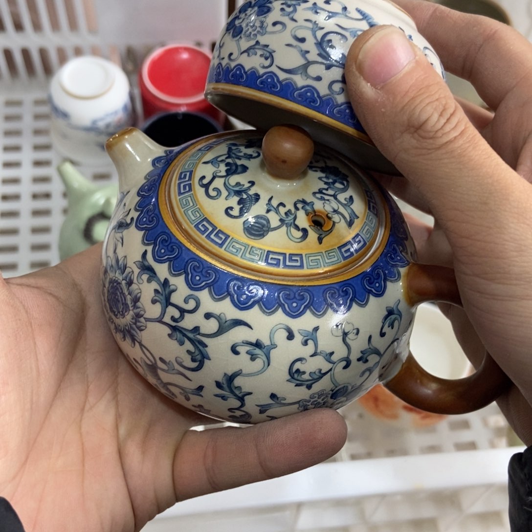 杯直播链接直播链接