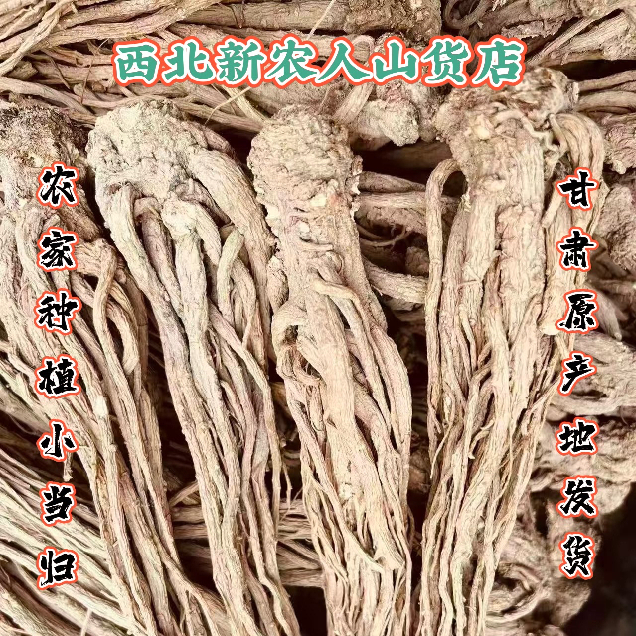 当归农家种植晾晒干货中药材小当归甘肃原产地直发整条煲汤泡水喝