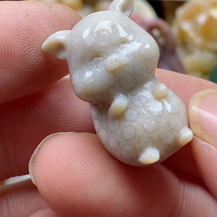 硅化珊瑚（珊瑚玉）颈饰未镶嵌