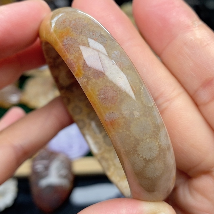 硅化珊瑚（珊瑚玉）手镯未镶嵌55