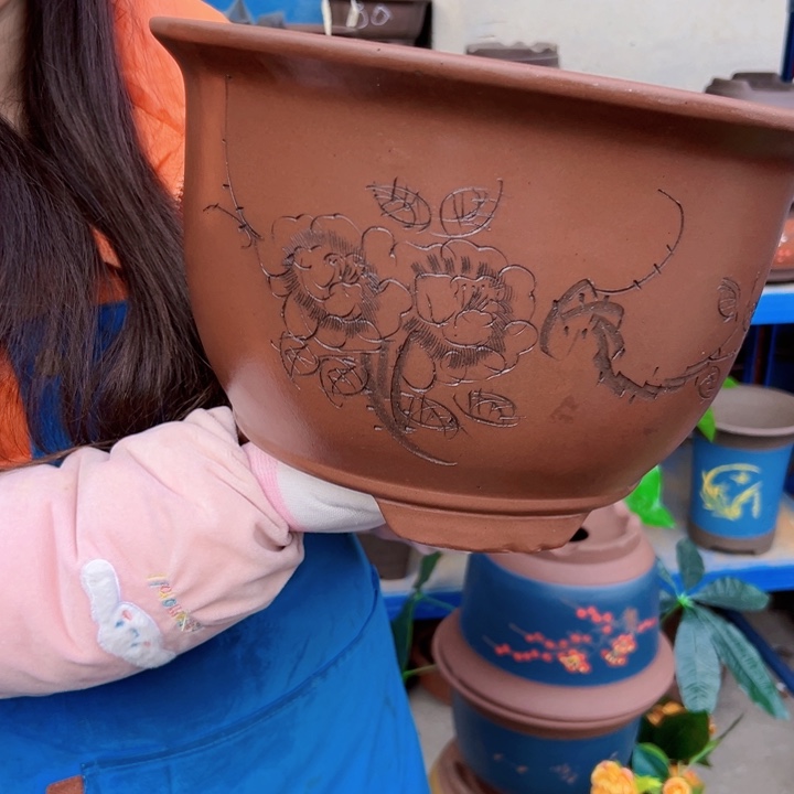 28紫色三角金钟花盆花盆花盆