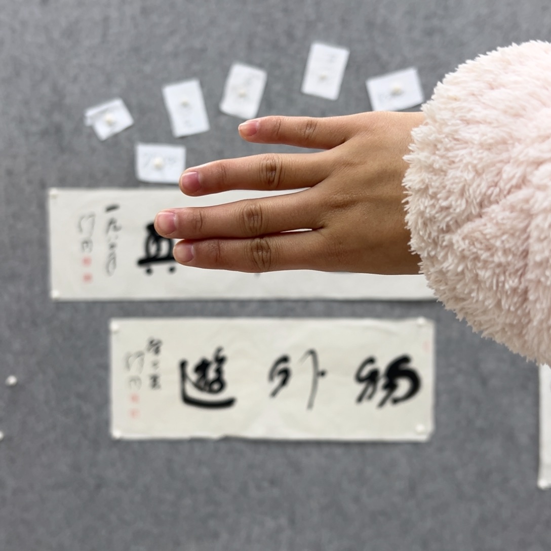 书法书法精品一副