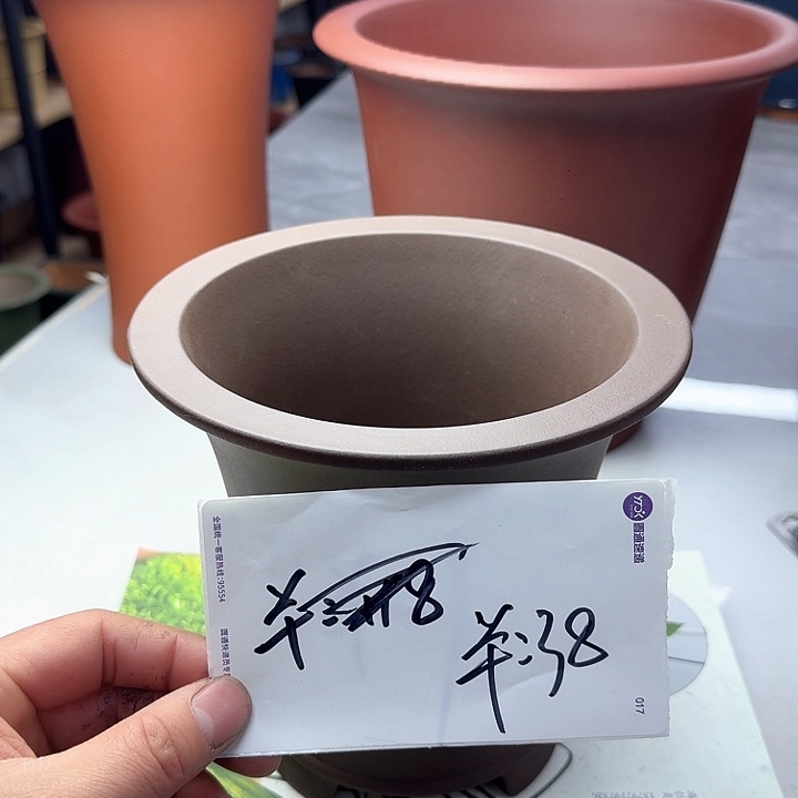 紫砂222222222222222