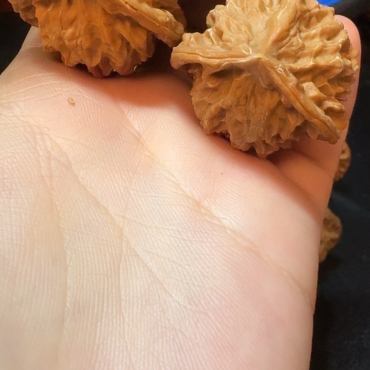 吊坠桃核盘山核桃35尺寸异形