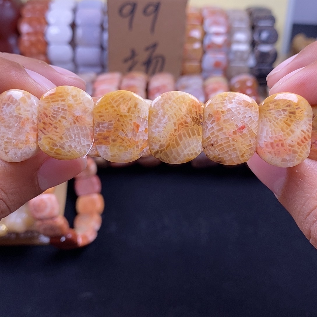 硅化珊瑚（珊瑚玉）未镶嵌手串黄冰龙骨23
