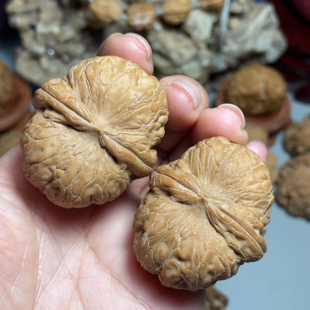 核桃手串/手链精品元宝42加