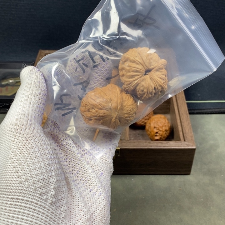 二***哥核桃等经济林果地的作用