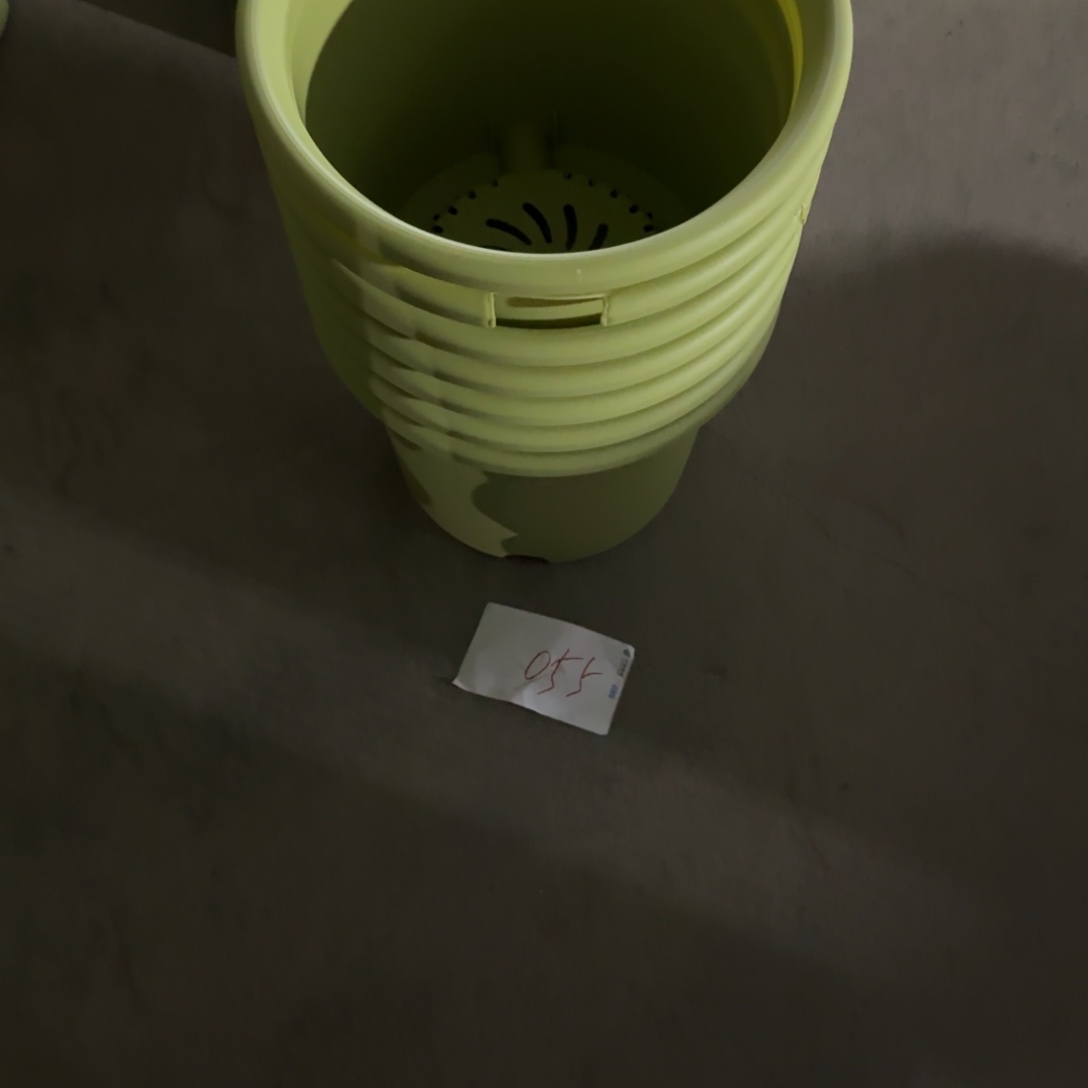 编号是055号的055号的