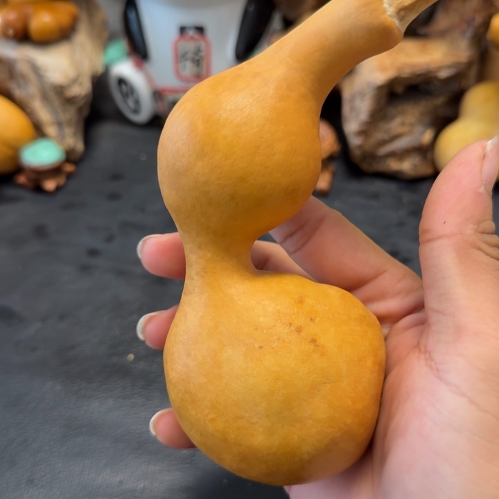 X***生66…………………………………………