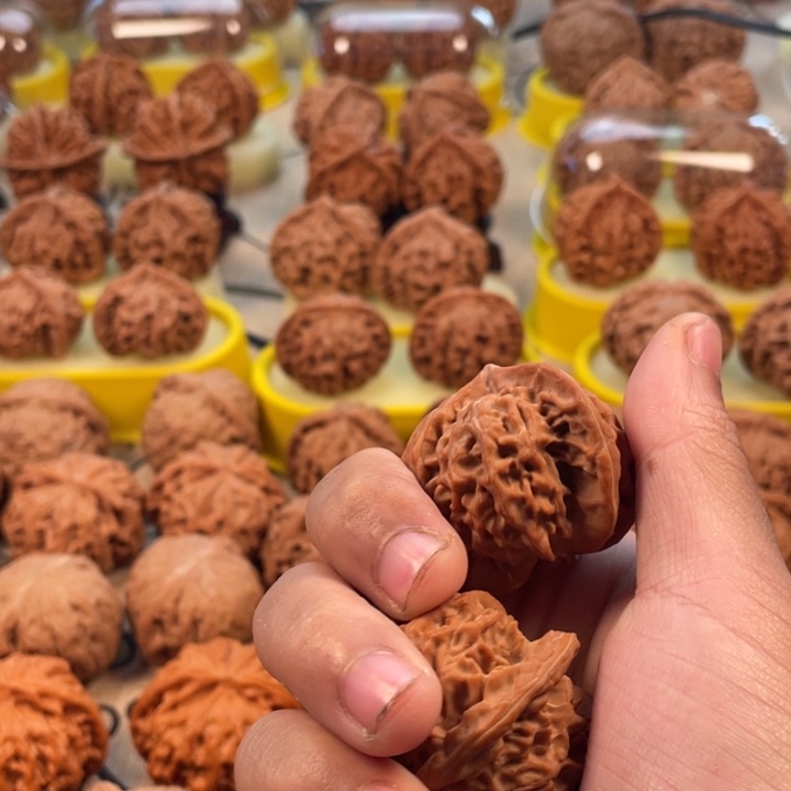 ****x桃核吊坠盘山三棱