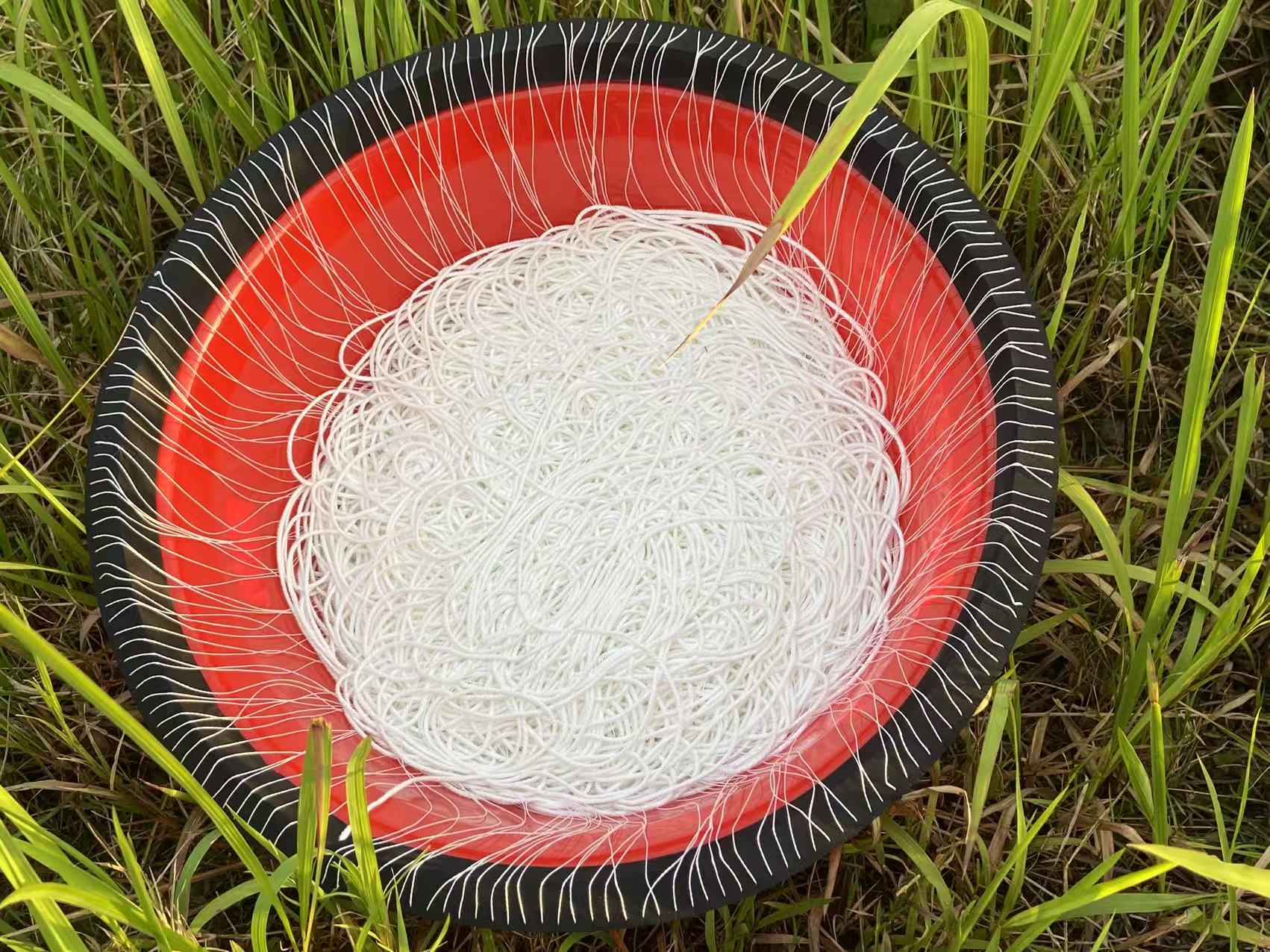 【2】14号【100到300把 】鳗鱼甲鱼连盆发货