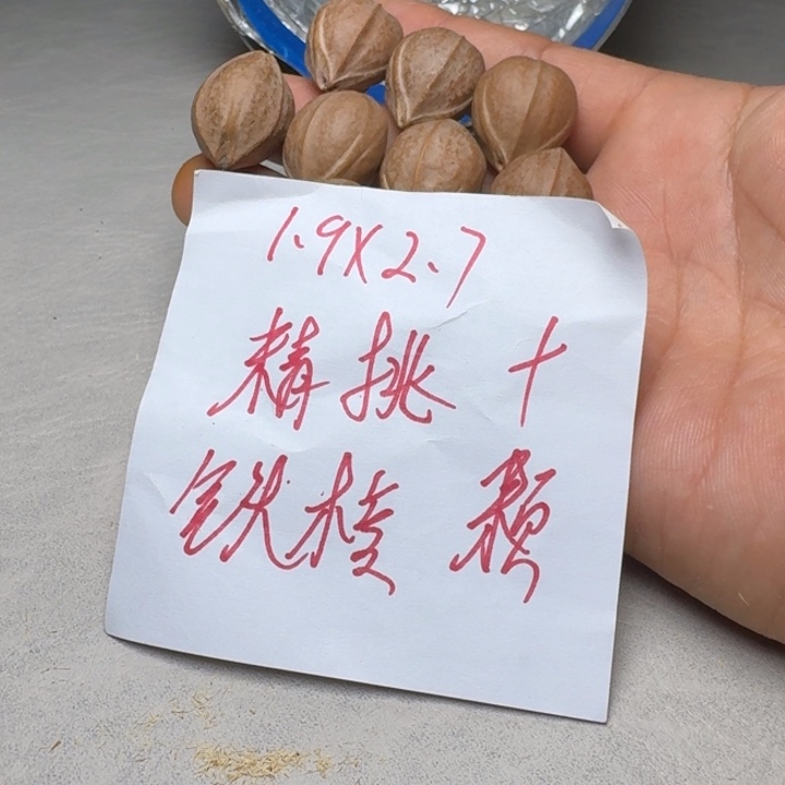 橄榄核手串/手链橄榄核1.9✖️2.7