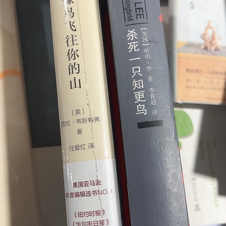 当鸟，知更鸟全新精装