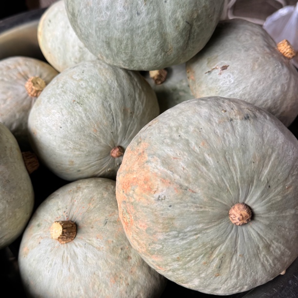 中缅农品-板栗南瓜 粉糯香甜口感沙瓤适合宝宝辅食代餐