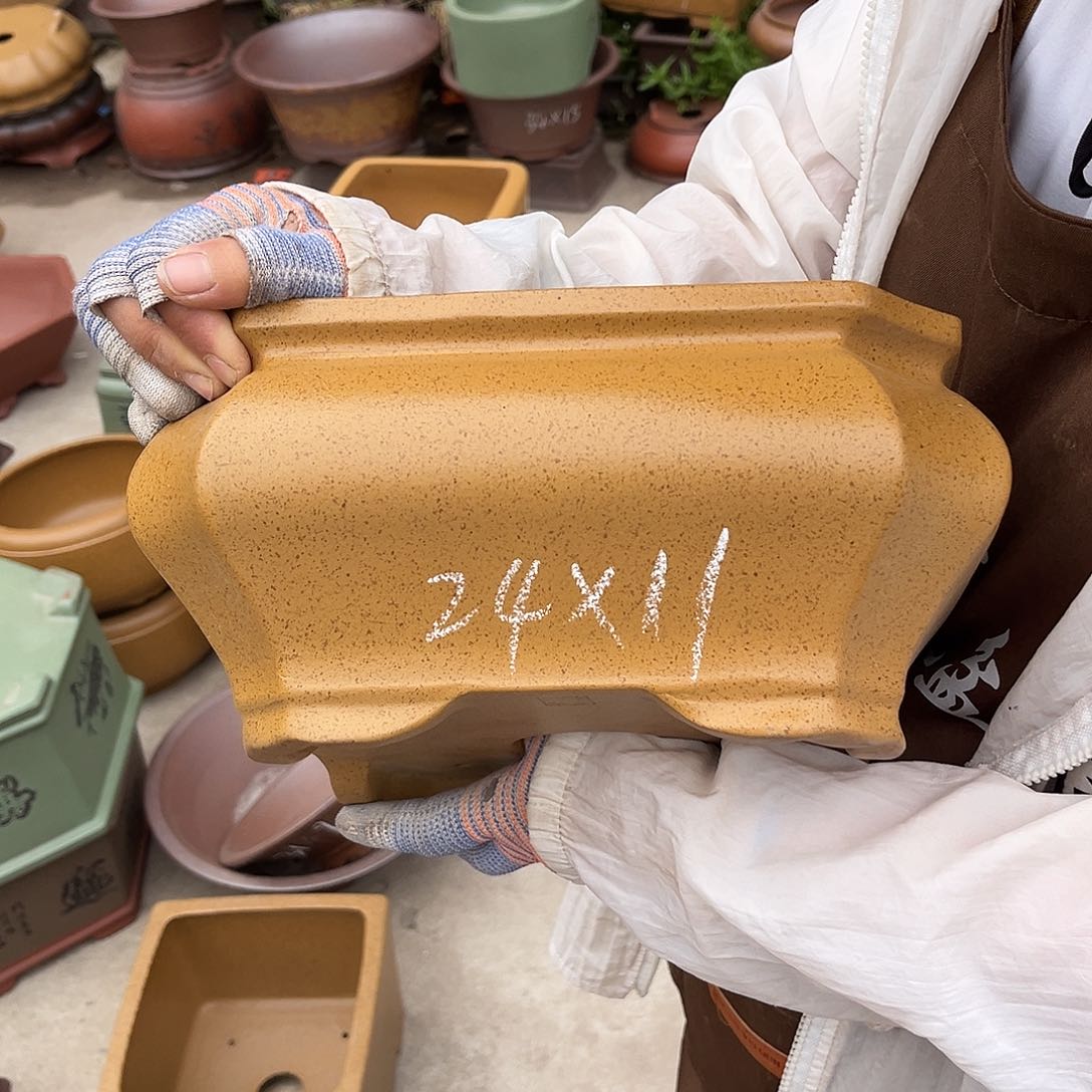 紫砂花盆盆景艺术