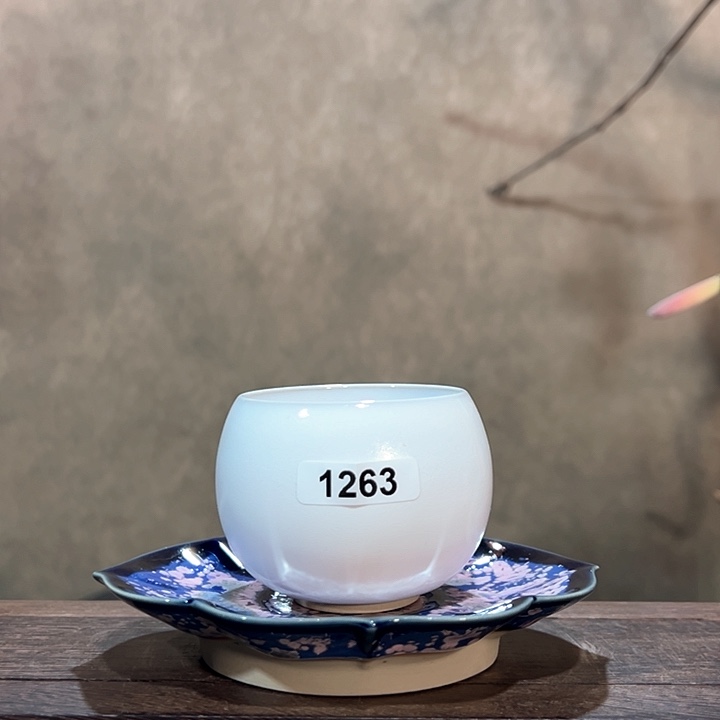 罐12630000000000000