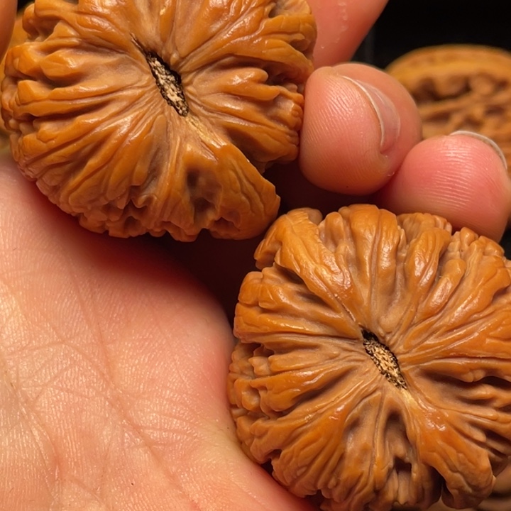 文玩核桃把件秦岭山脉核桃