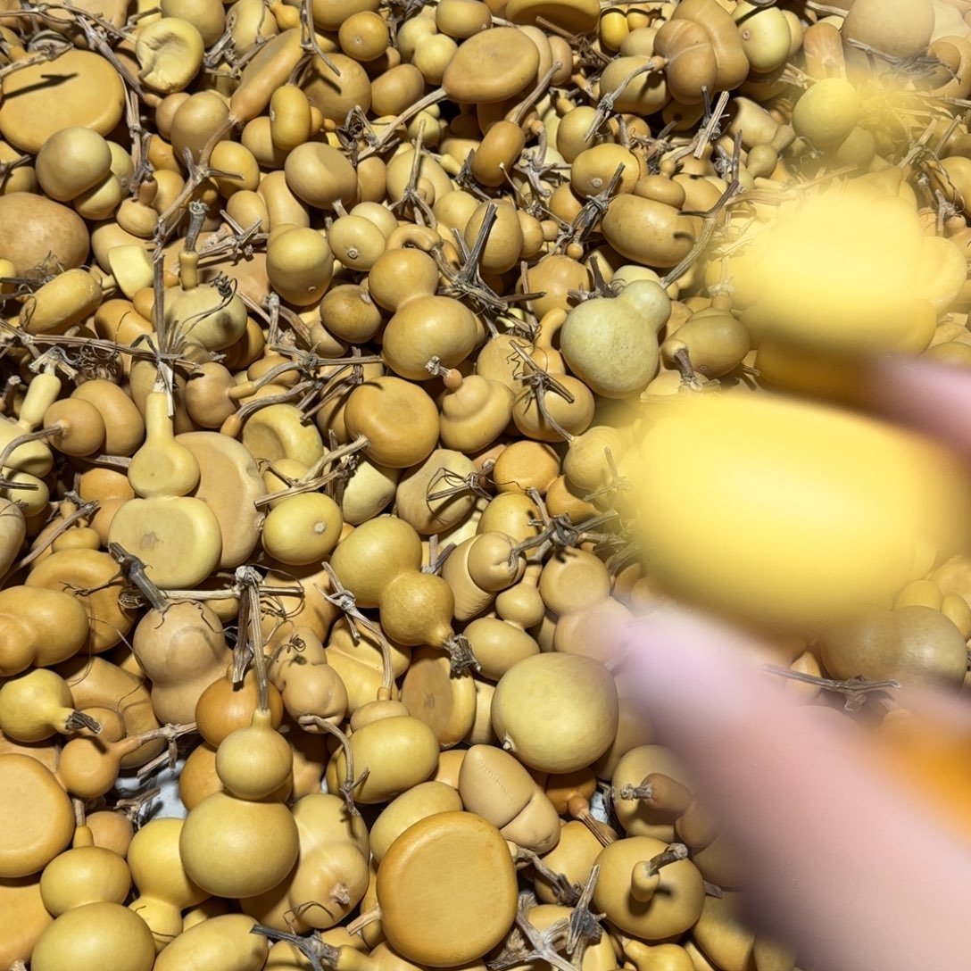 ゛***4我也不知道怎么办啊你不