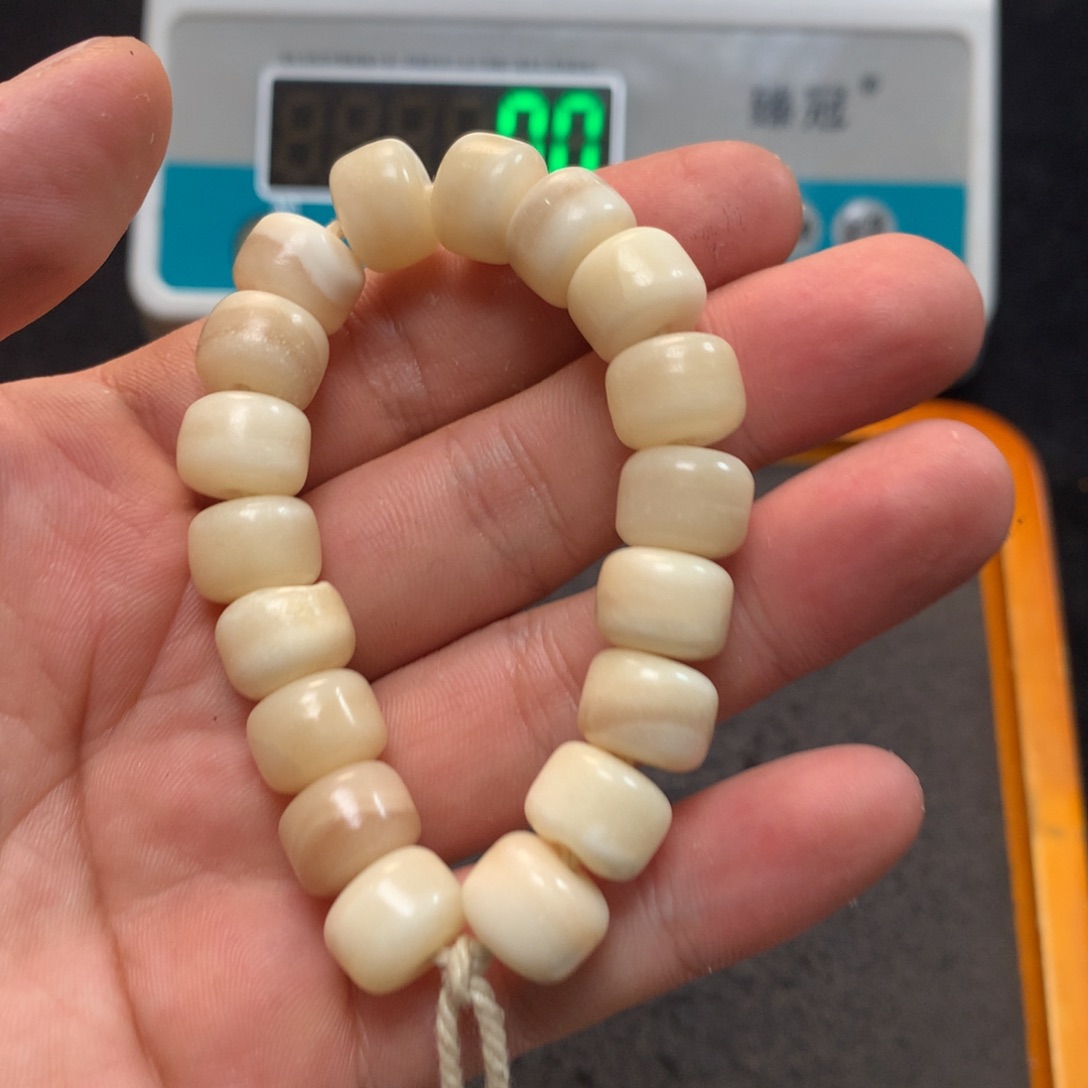 猛犸猛犸猛犸猛犸猛犸d8