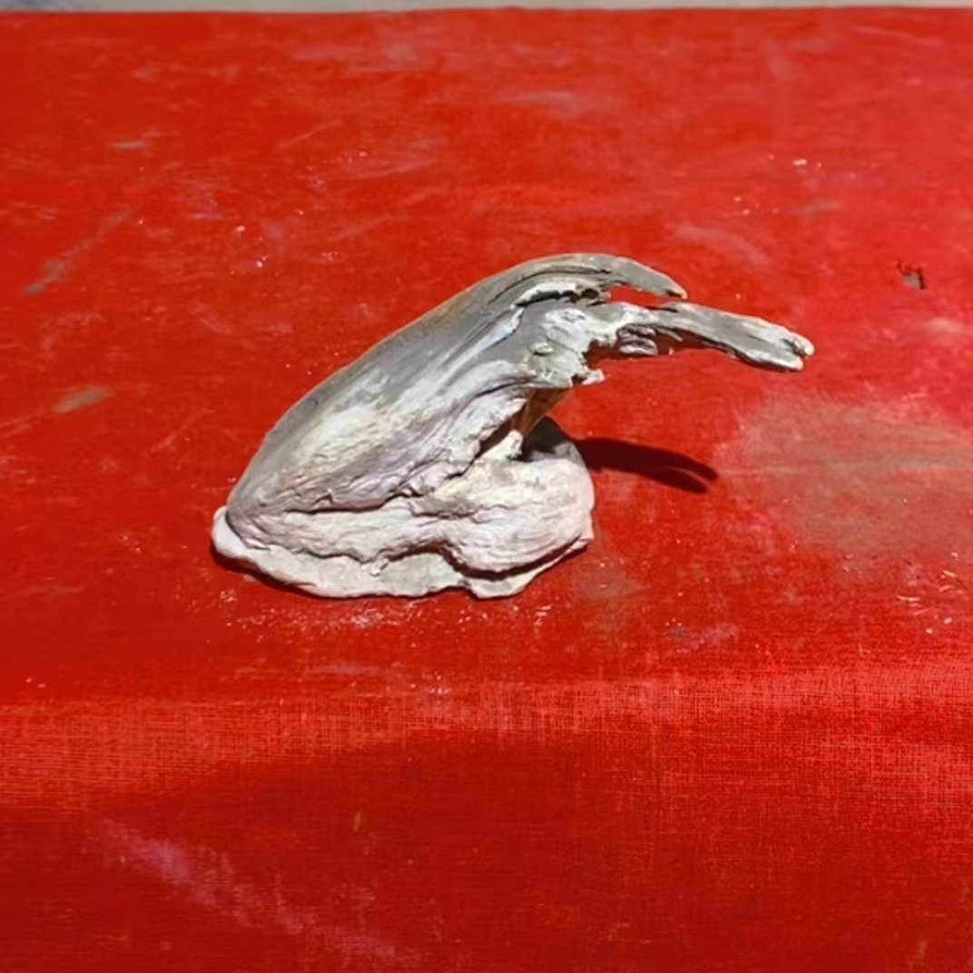 崖上柏香摆件（直播间一物一拍）