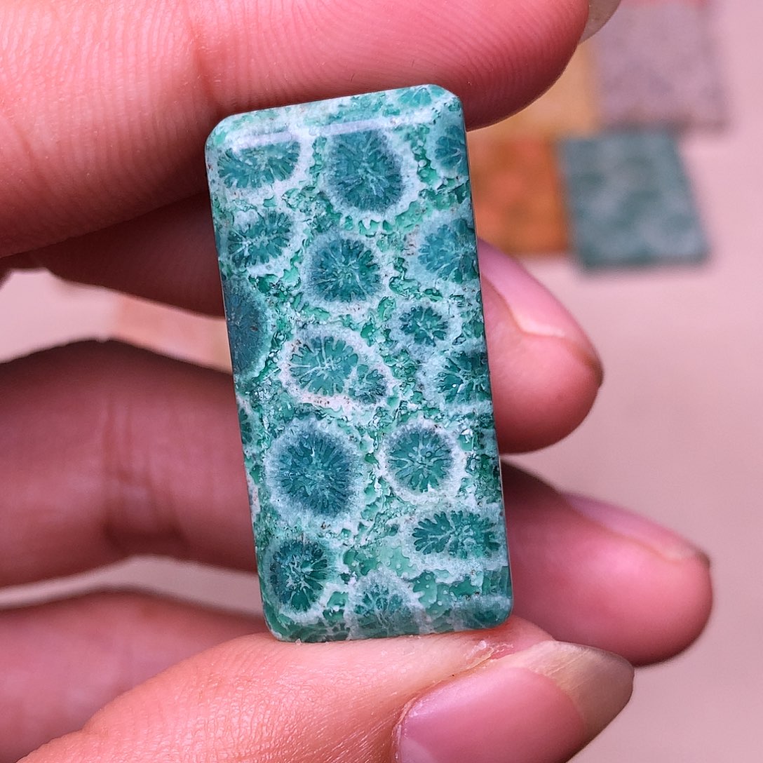 ≧***隅硅化玉合金珊瑚玉