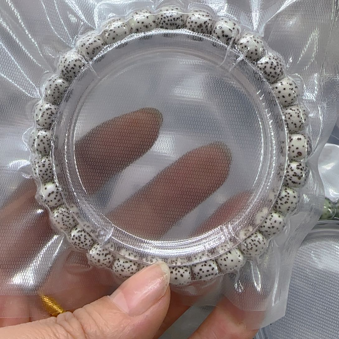 星月菩提手串148傲世白河豚星月菩提87桶单圈