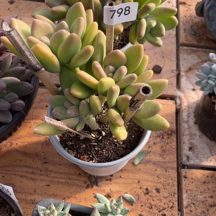 哈哈哈哈哈哈回家798