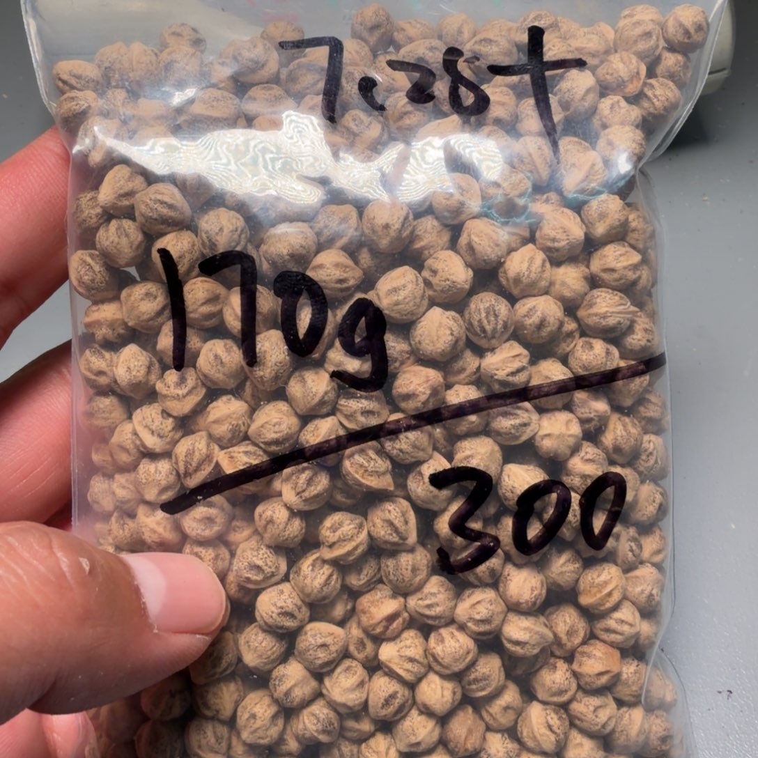 吊坠柏香籽/百香籽—****—