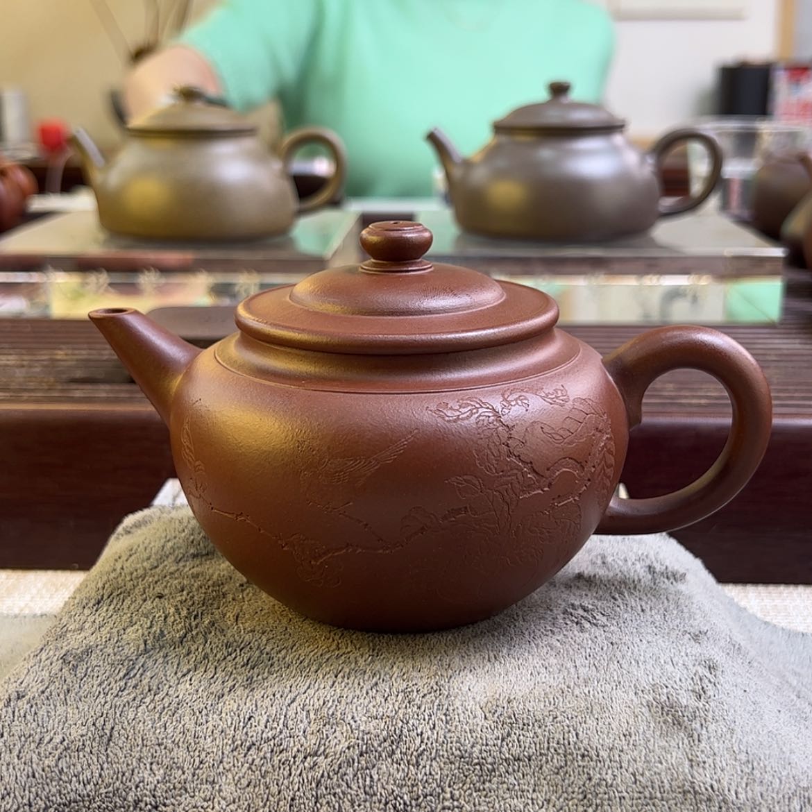 【闪购商品】茶壶紫砂树*66666666666