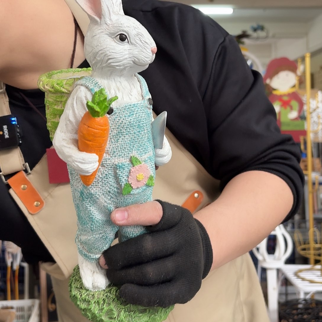 核桃木/黑胡桃（胡桃木）