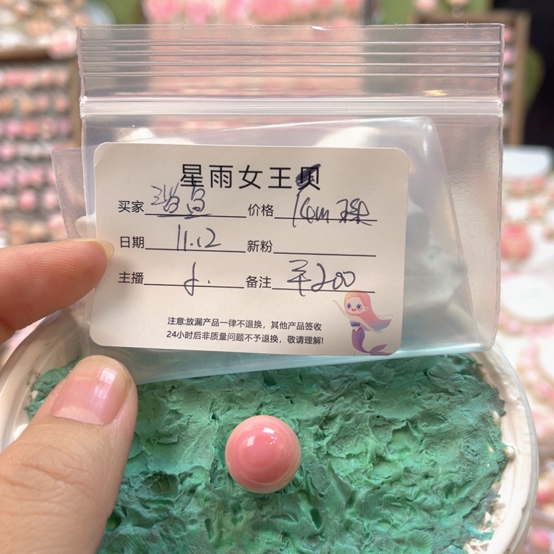 鲨***鱼贝壳非金属粉嫩嫩贝贝