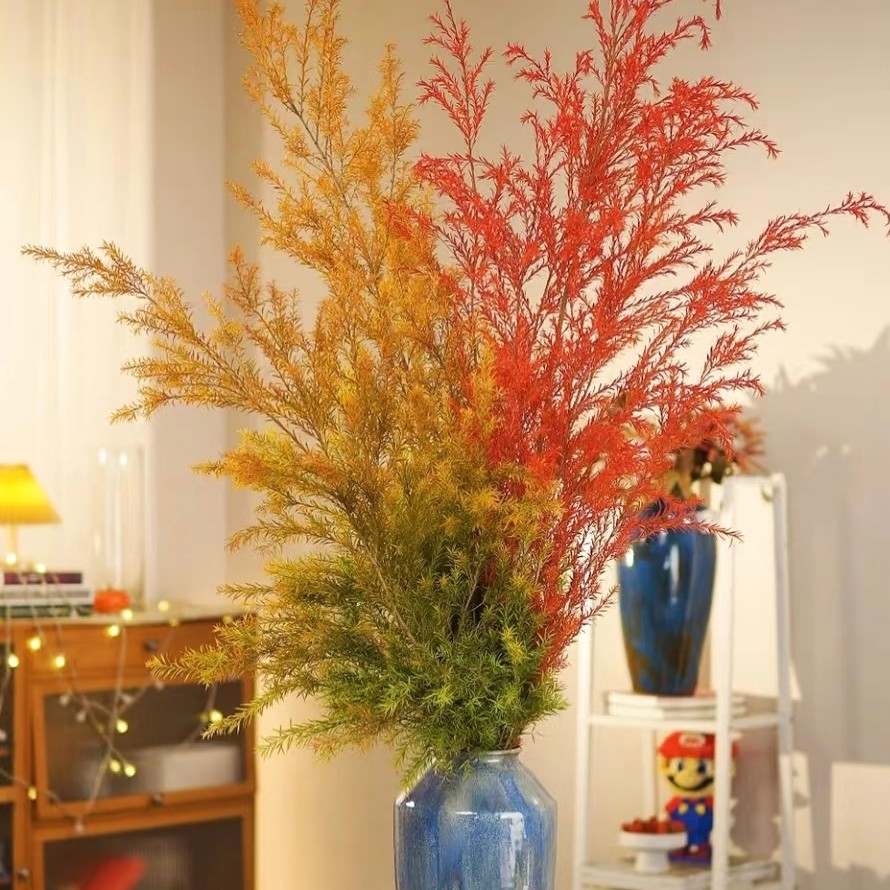 【千层金】可做干花-鲜花黄金香柳