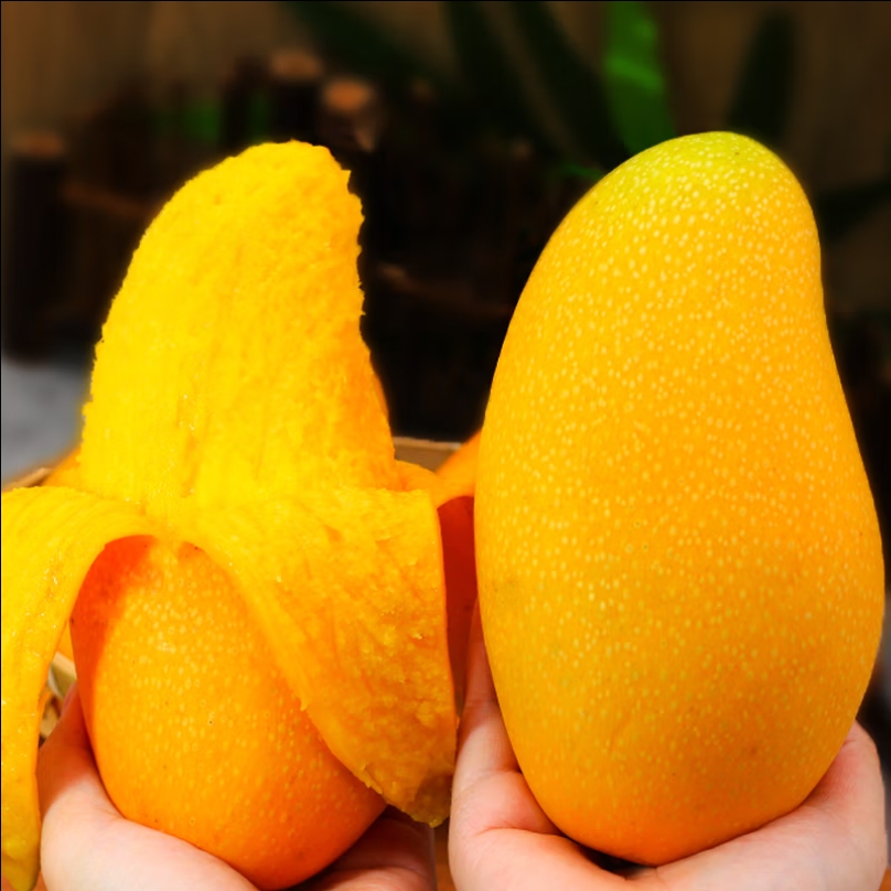 海南正宗金煌芒当季新鲜水果香甜多汁芒果皮薄肉厚产地直发