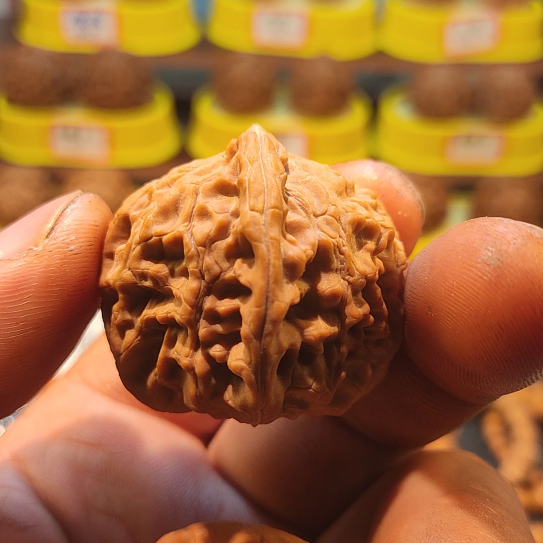 文玩核桃把件玉珍元宝38