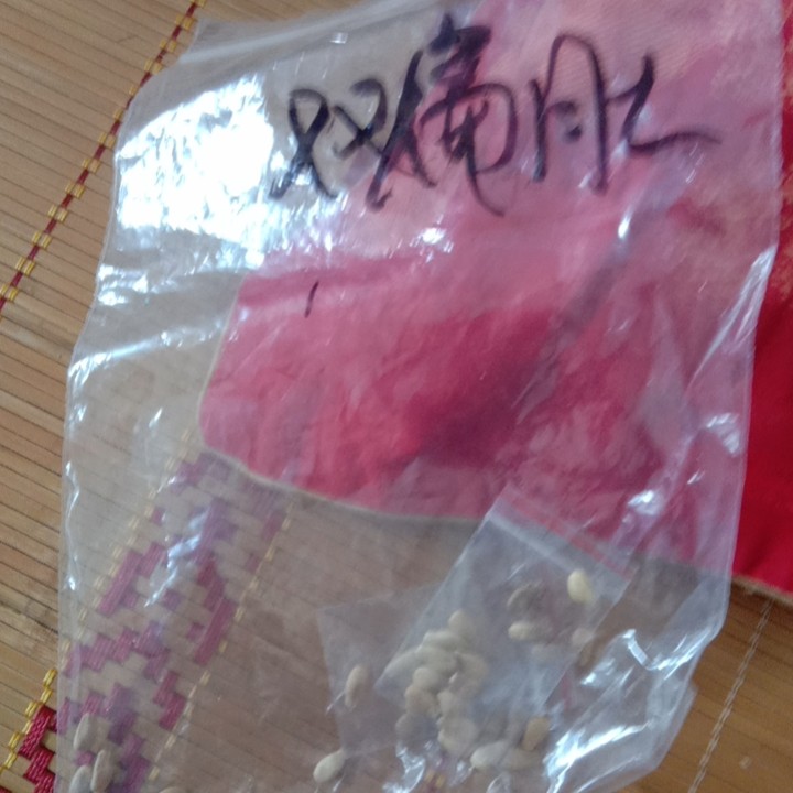 双扁肚葫芦种子15元一粒一包10粒