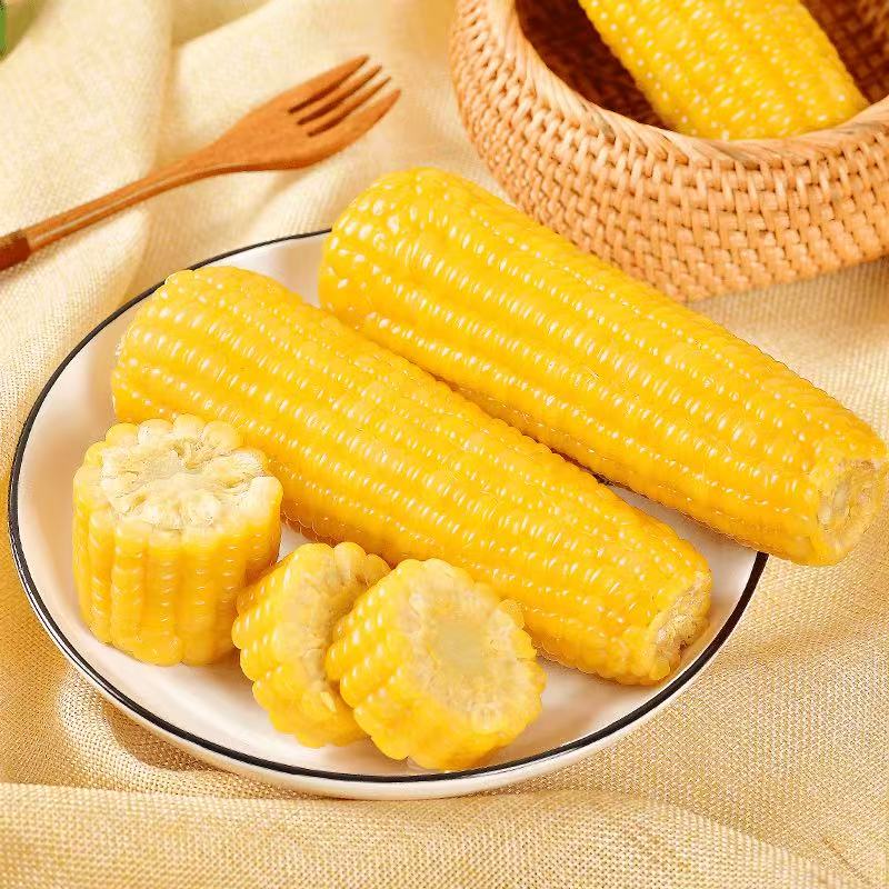 东北【25年】秋后大棒黄糯玉米黑土地香甜软糯粘锁鲜280g-8根