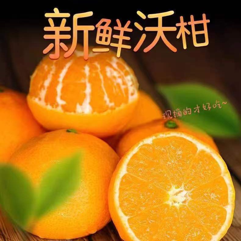 【云南沃柑大果】云南沃柑新鲜多汁当季水果
